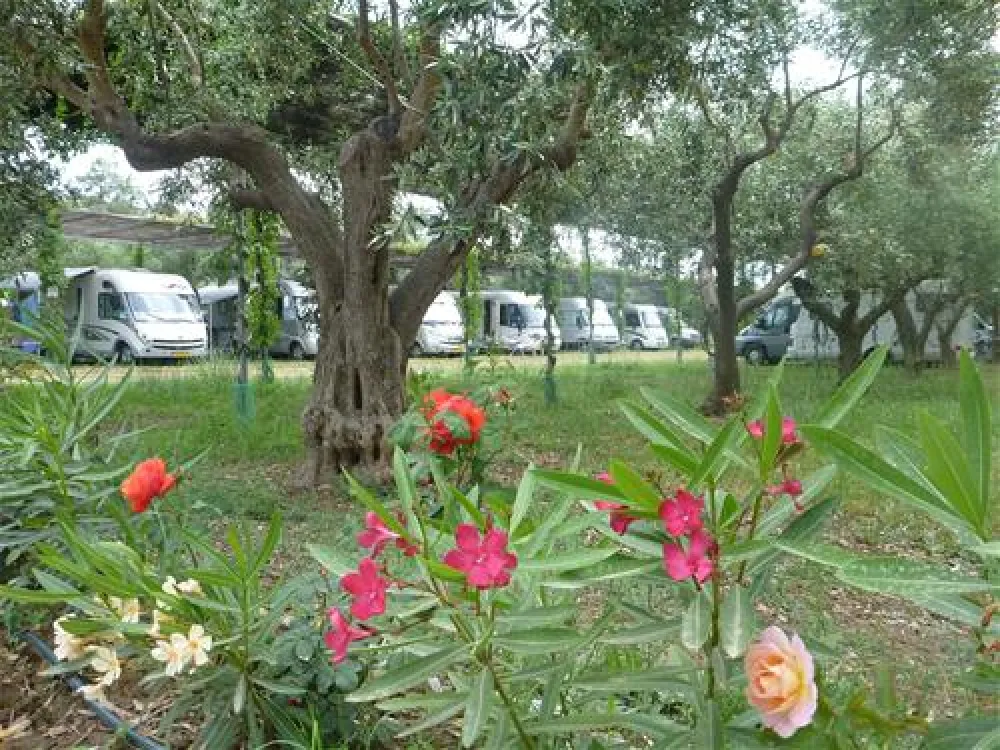 Camping Meltemi