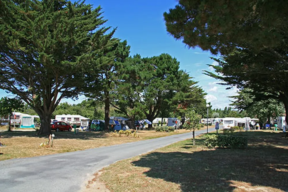 Camping Les Marsouins  