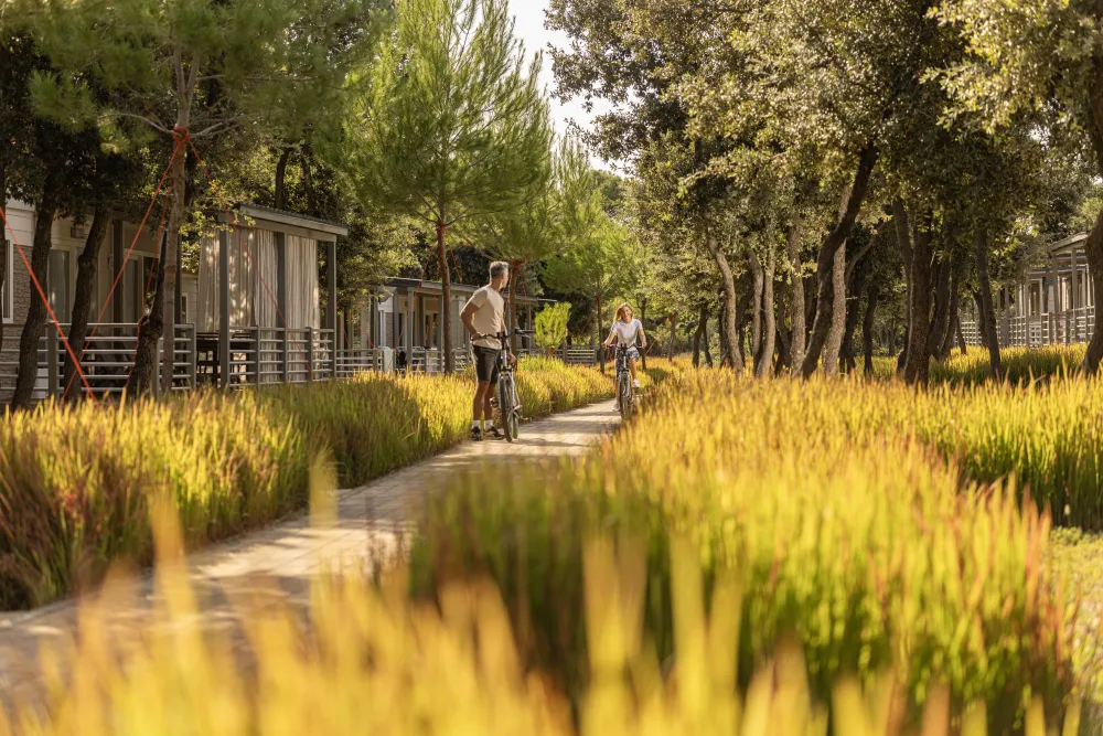 Lopari Camping  Resort