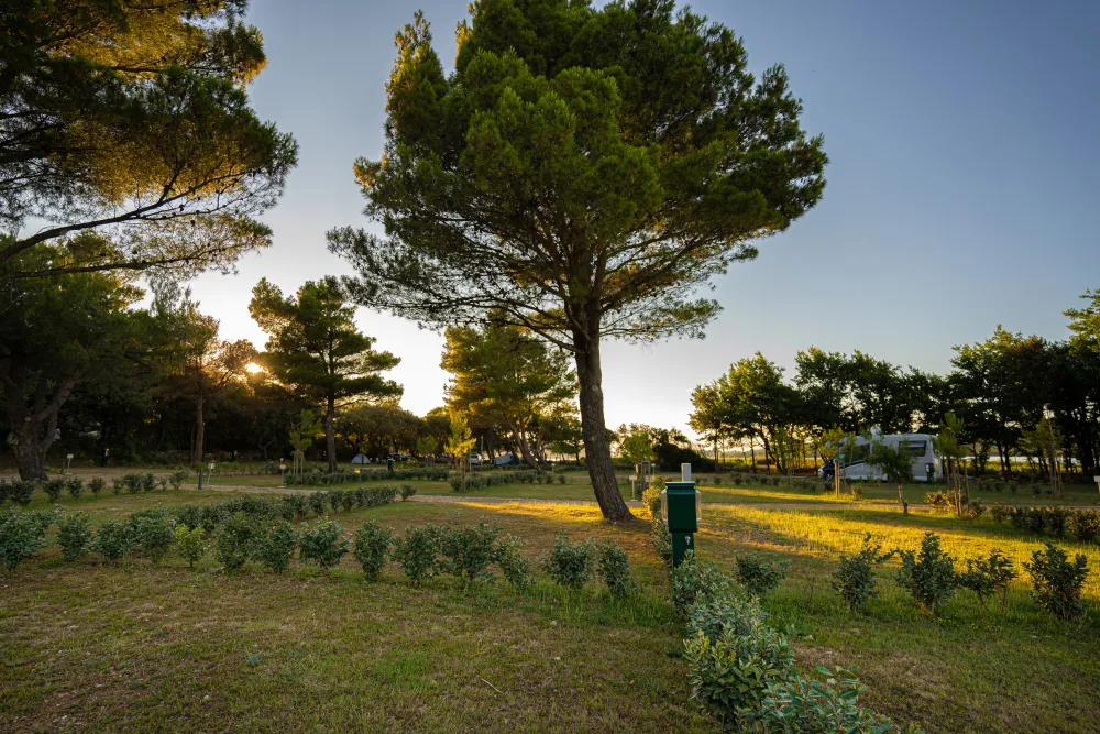 Lopari Camping  Resort