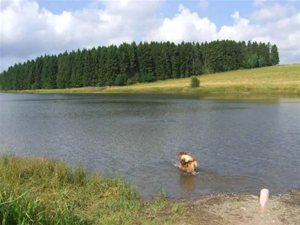 Campingplatz Prahljust