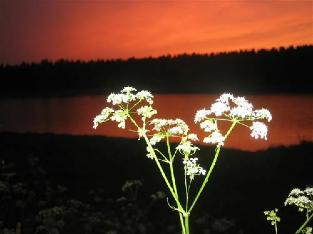 Campingplatz Prahljust