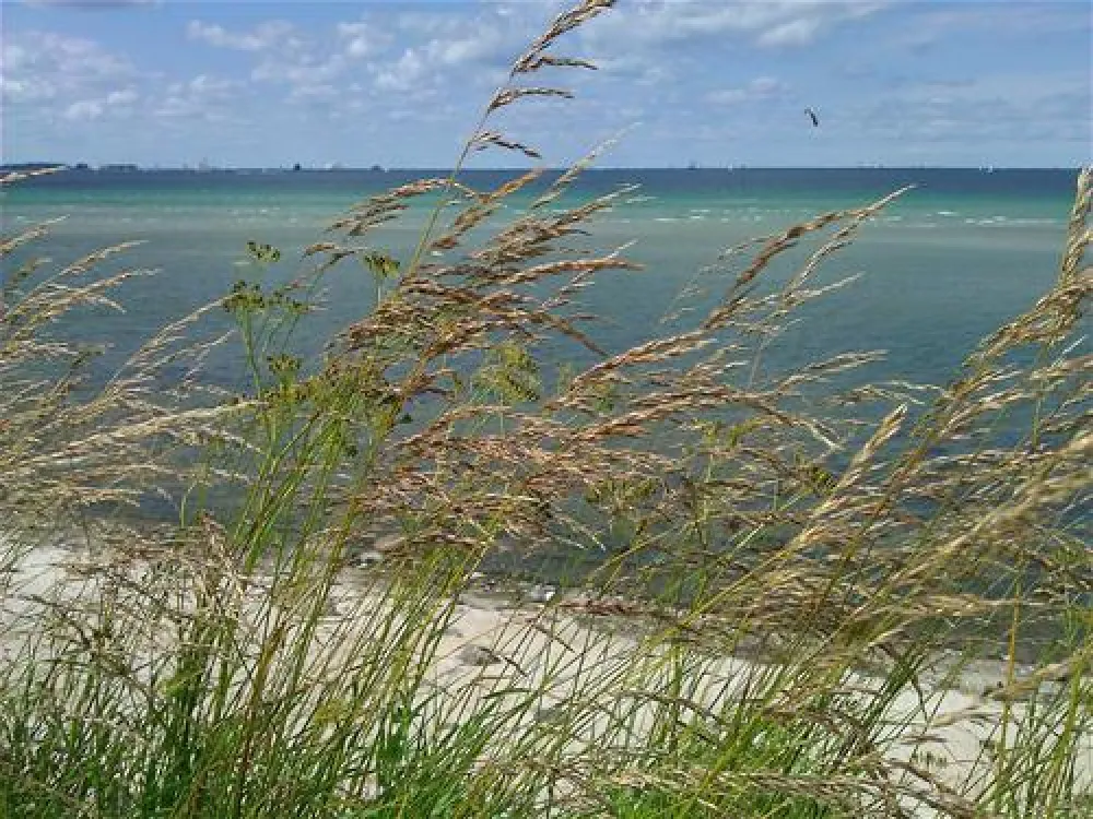 Campingplatz Neustein