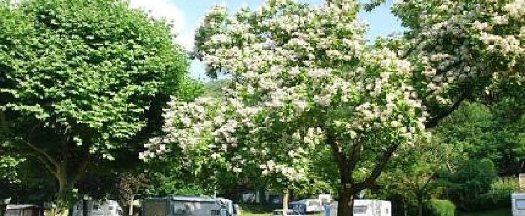 Camping Le Bois de Cornage