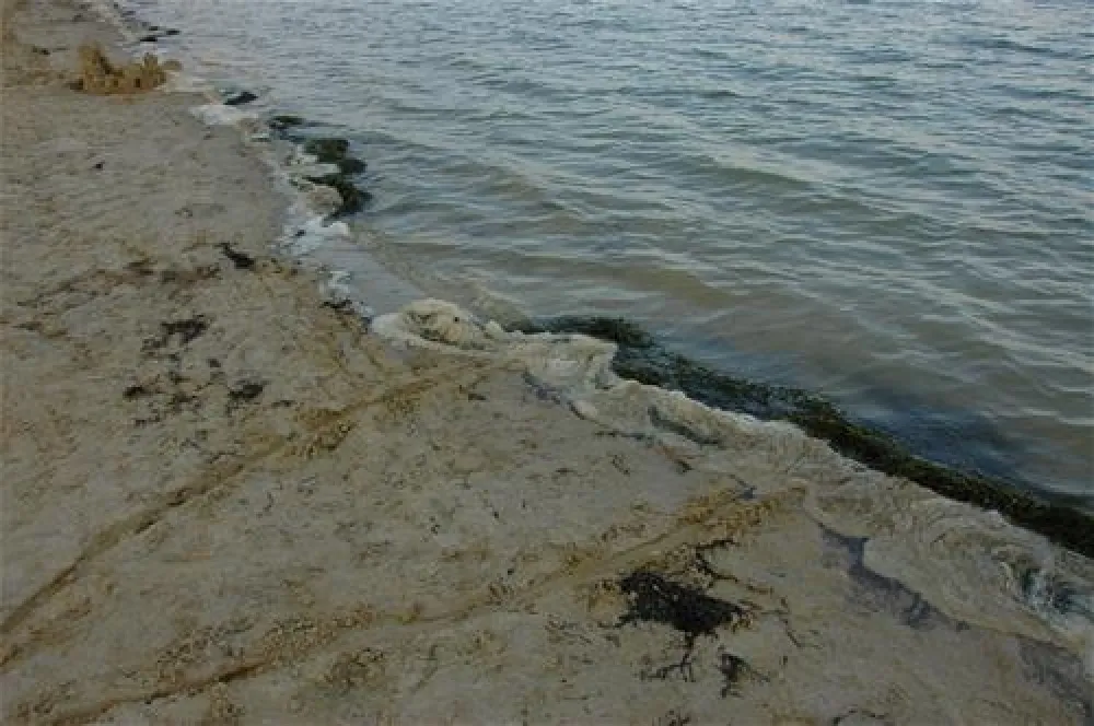 Residence Punta Spin