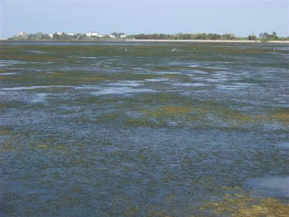 Residence Punta Spin