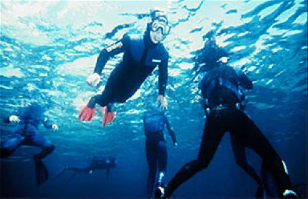 CAMPING BUNGALOW PARK MAS PATOXAS