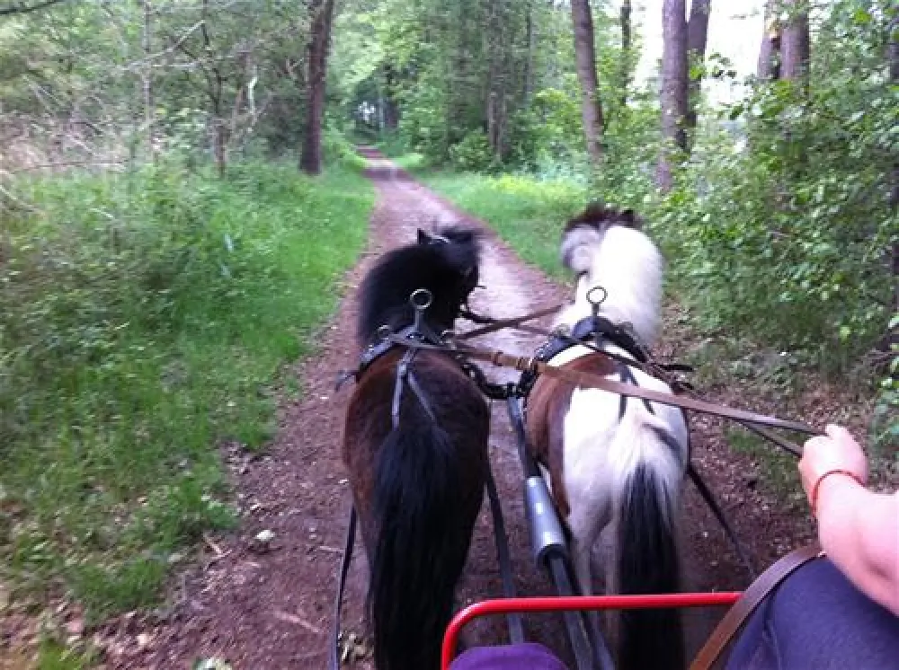 KNAUS Campingpark Oyten/Bremen