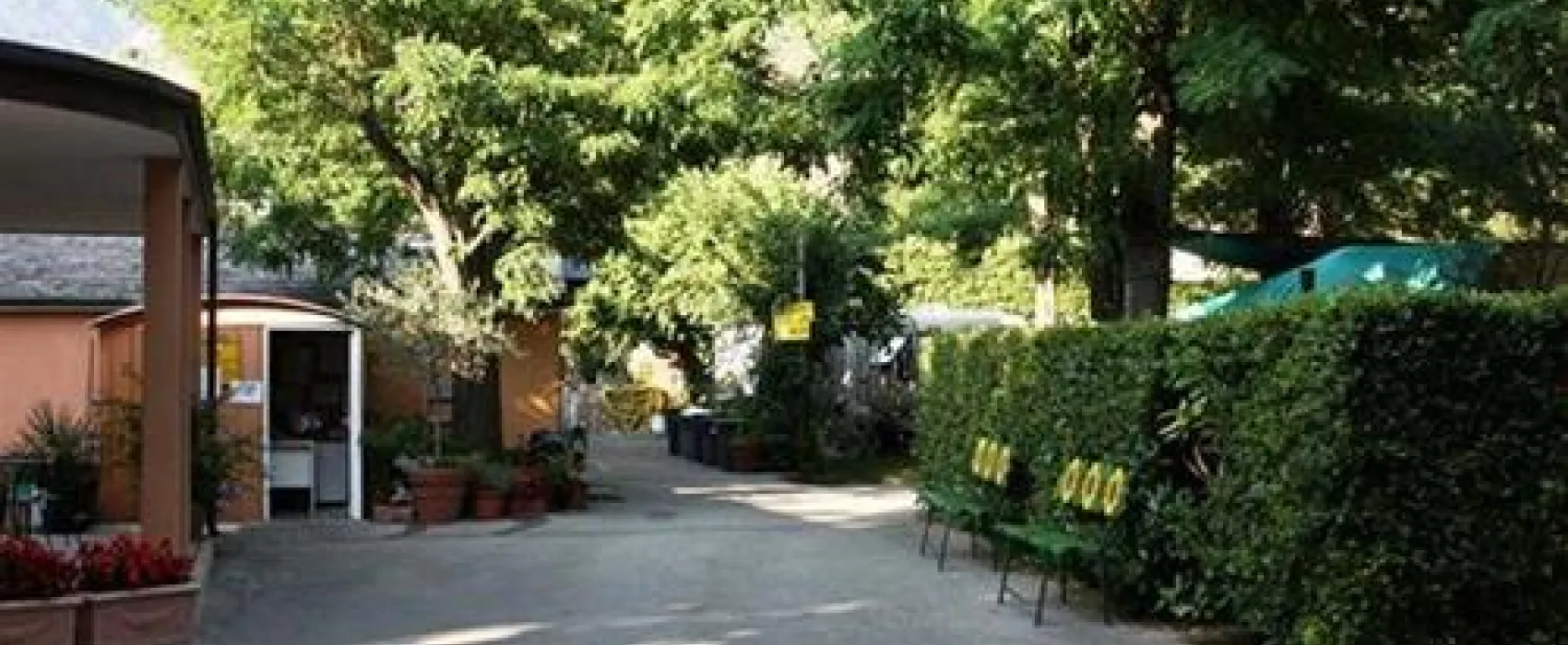 Campeggio Albero D`oro