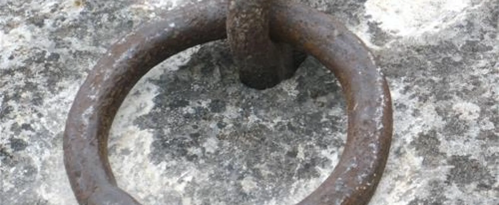 Camping Municipal La Saulaie  