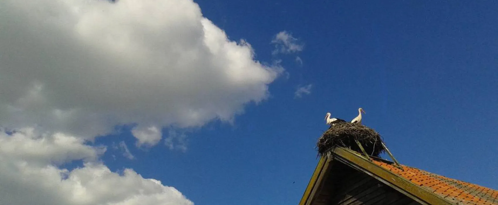 Lindenhof Rybinski-Wagner