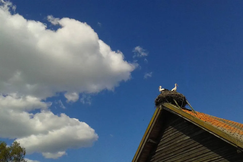 Lindenhof Rybinski-Wagner