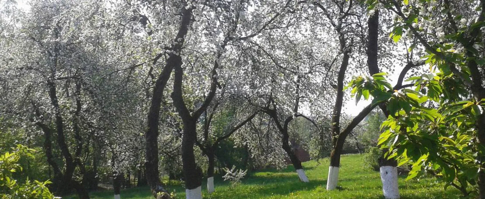 Lindenhof Rybinski-Wagner