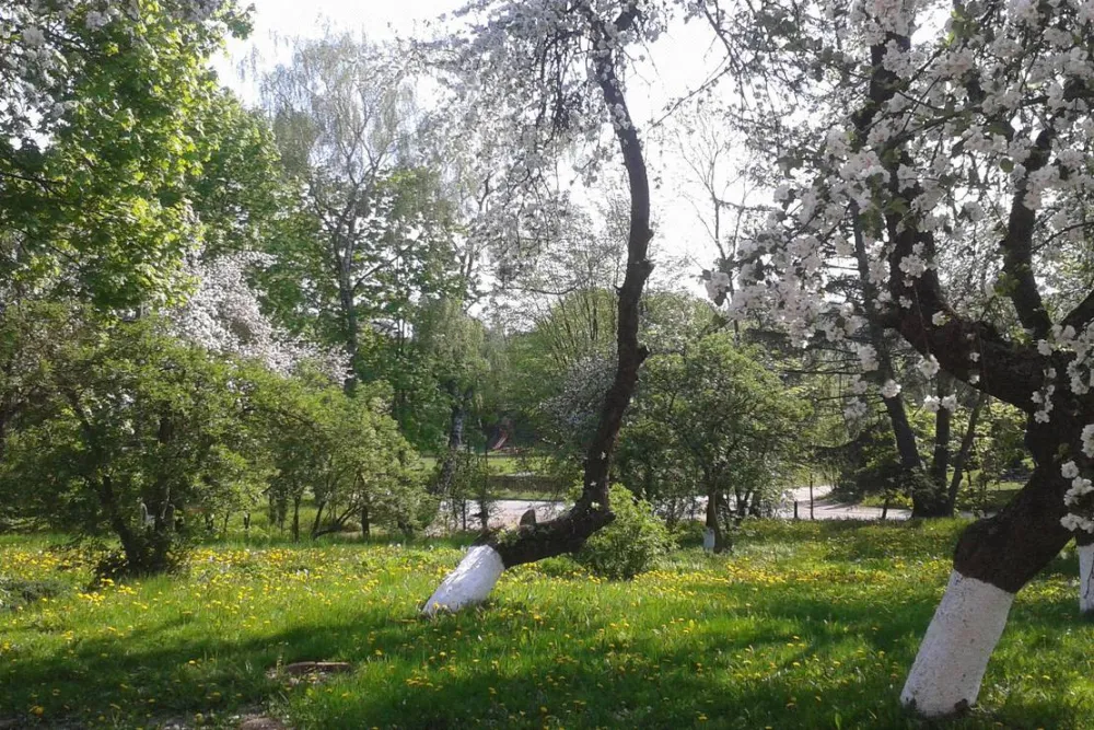 Lindenhof Rybinski-Wagner