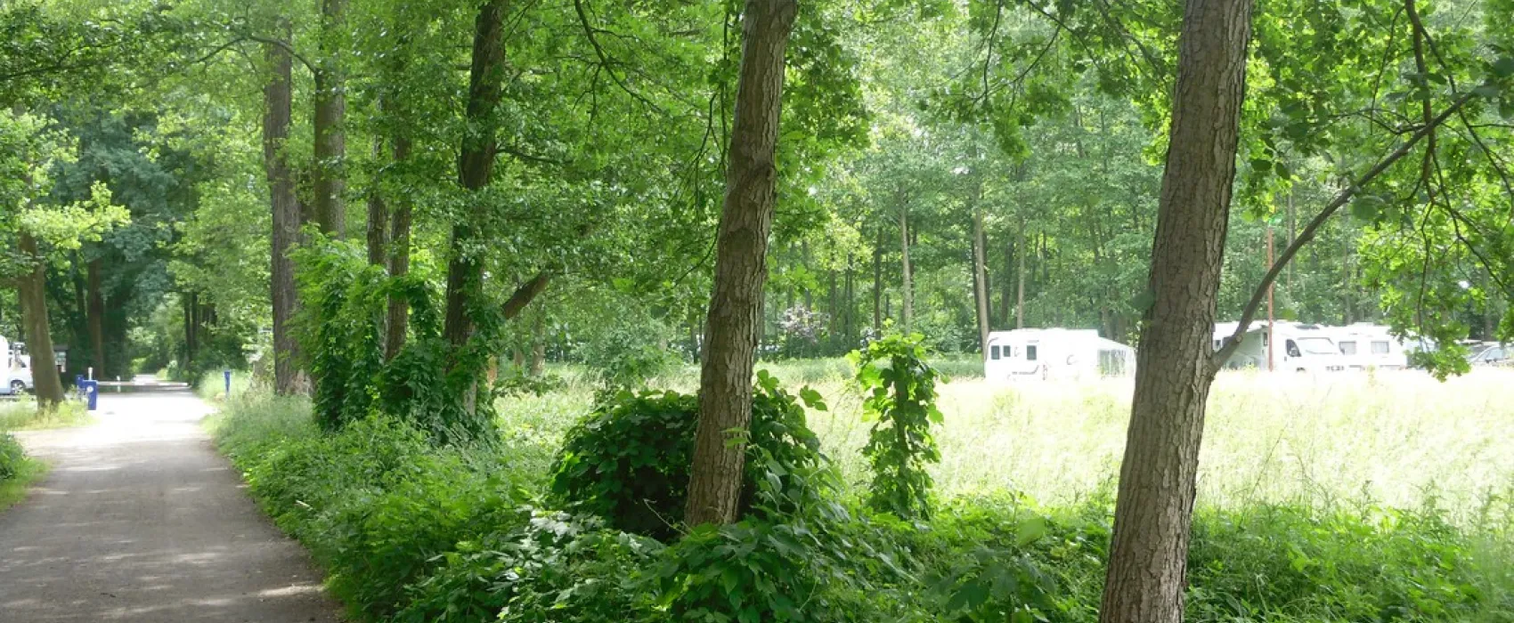 Kneipp und Erlebniscamping an den Spreewaldfliesen