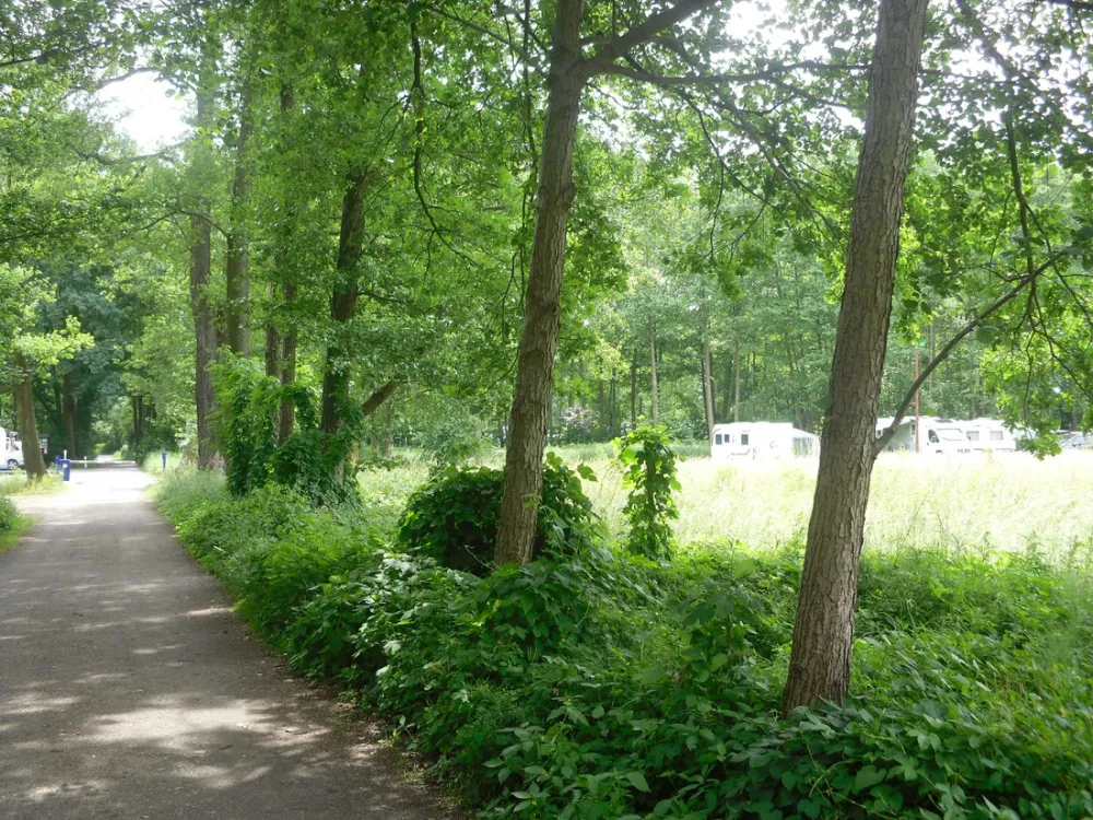 Kneipp und Erlebniscamping an den Spreewaldfliesen