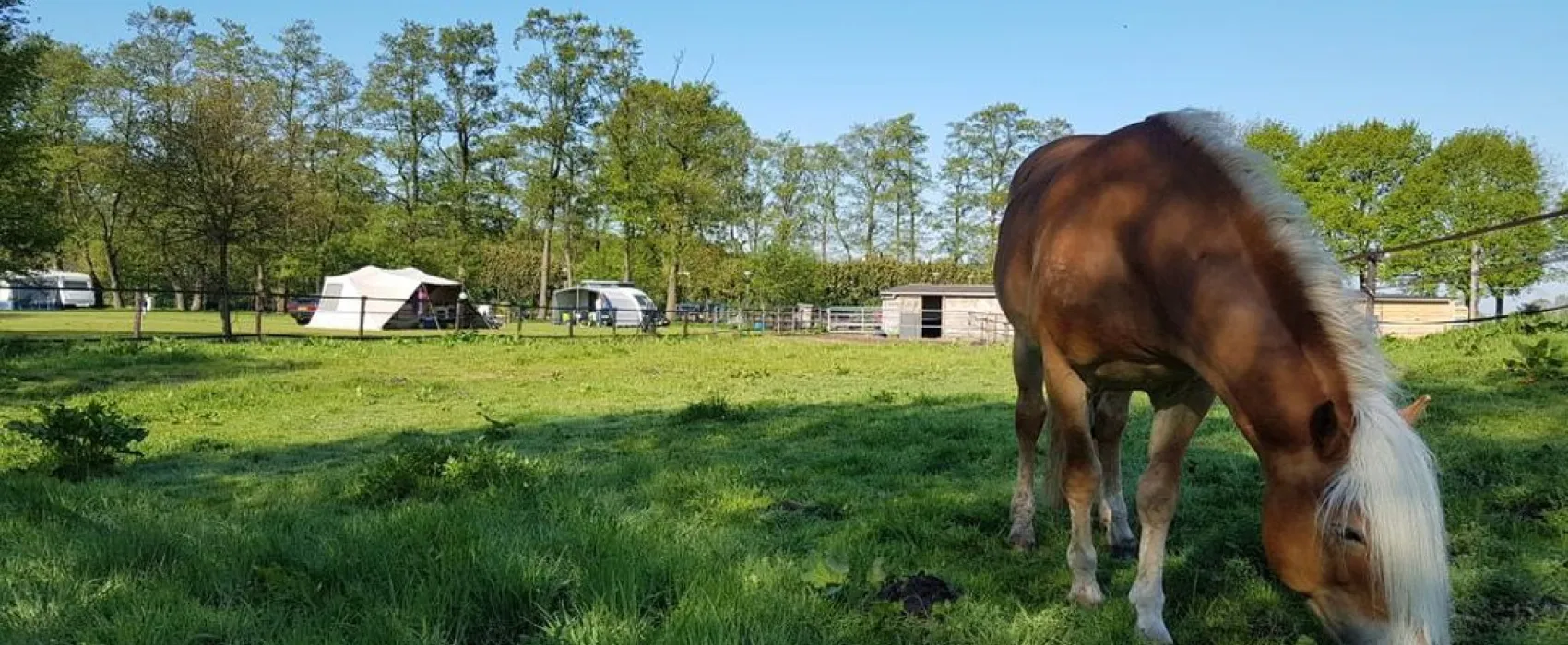 Stalhouderij en minicamping de Stieltjeshoeve