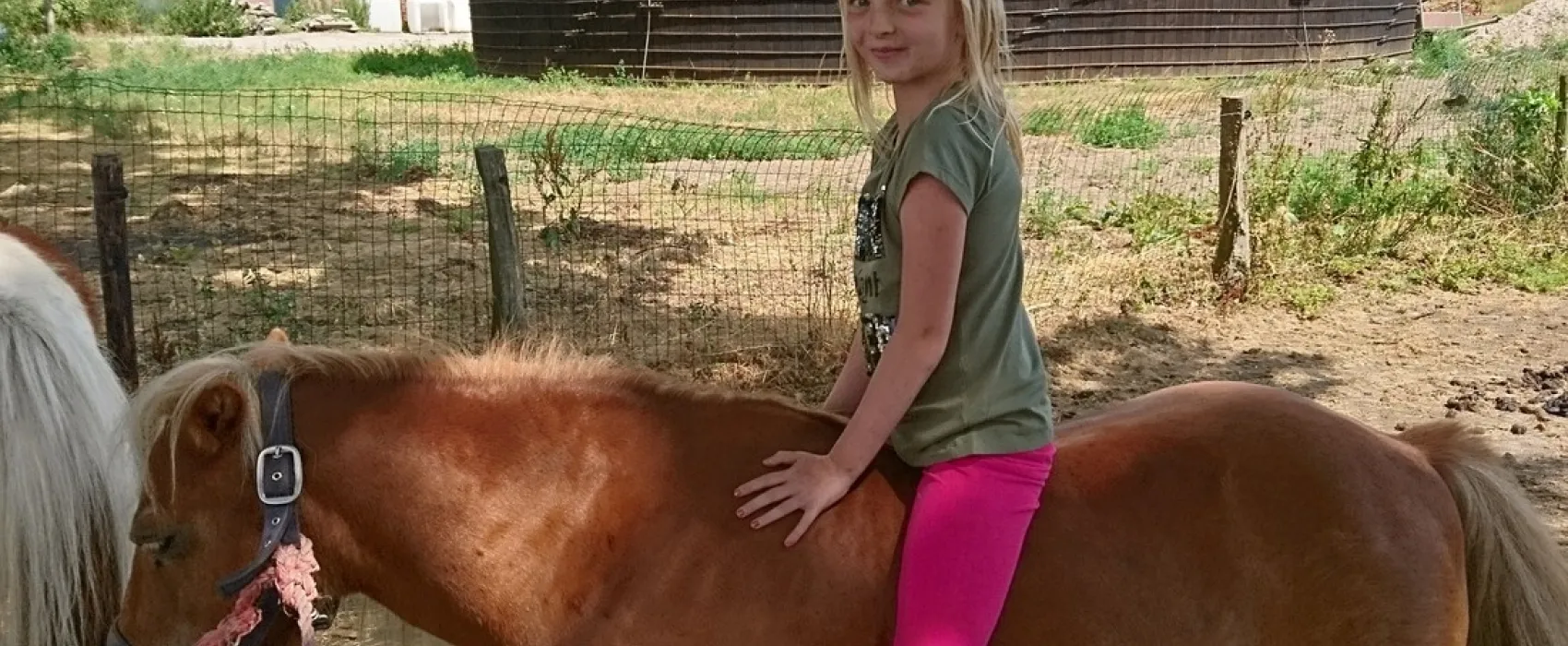 Minicamping De Blökke