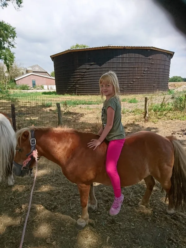 Minicamping De Blökke