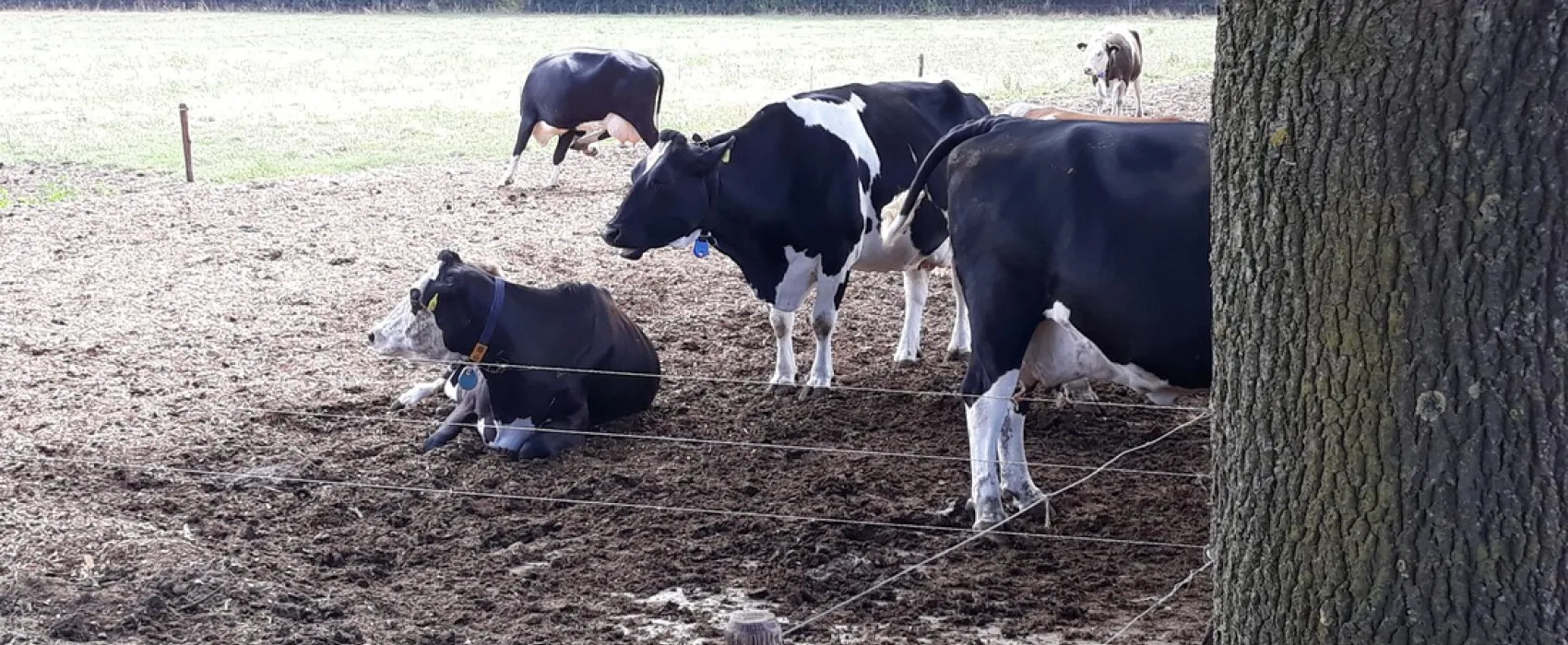 Minicamping De Blökke