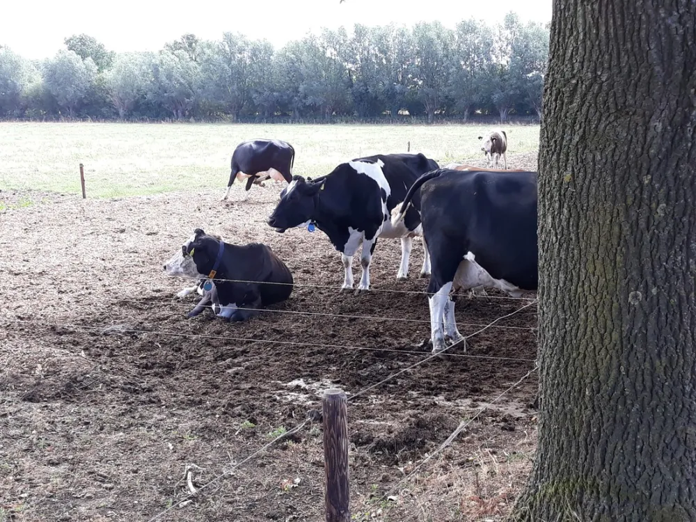 Minicamping De Blökke