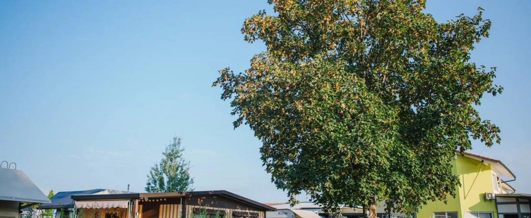 Rhein Camping Waldshut