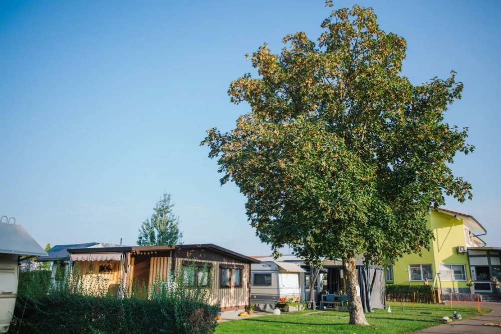 Rhein Camping Waldshut