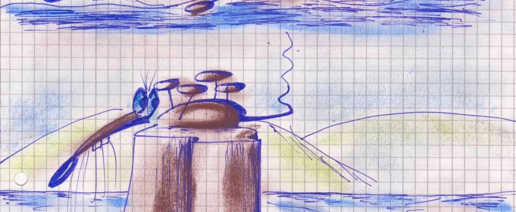 Rhein Camping Waldshut