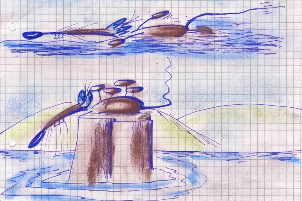 Rhein Camping Waldshut