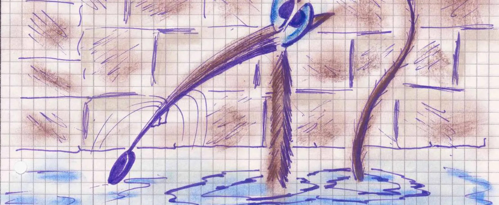 Rhein Camping Waldshut