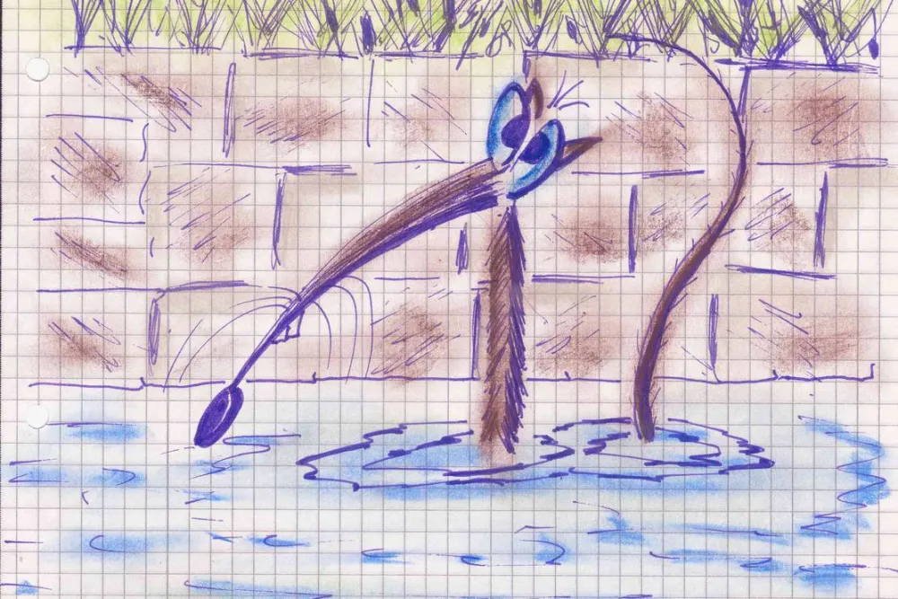 Rhein Camping Waldshut