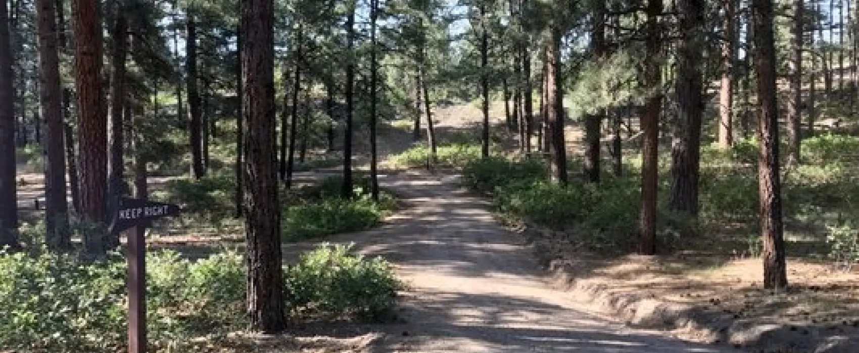 Ute Campground