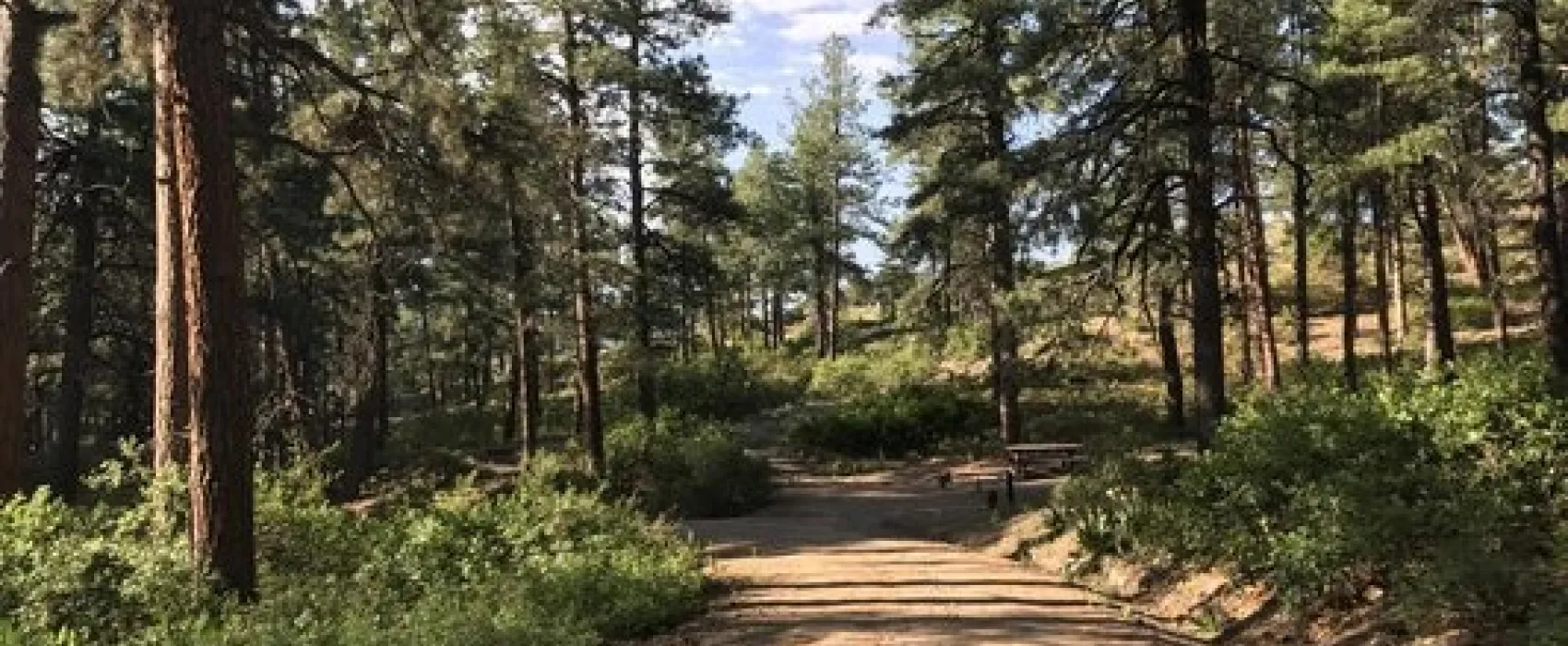 Ute Campground