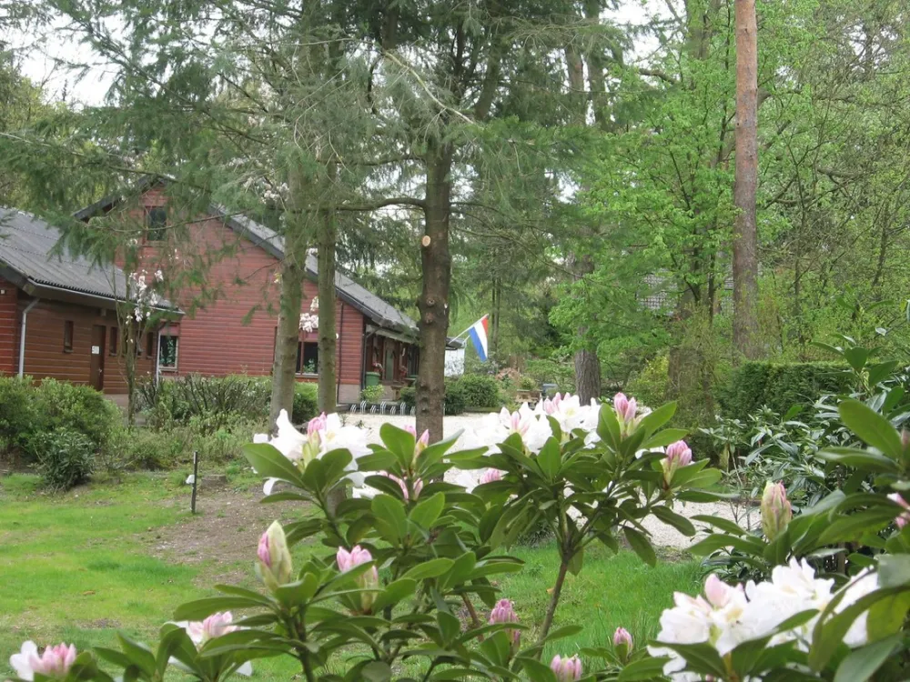 't Spoek Alcoholvrije Camping