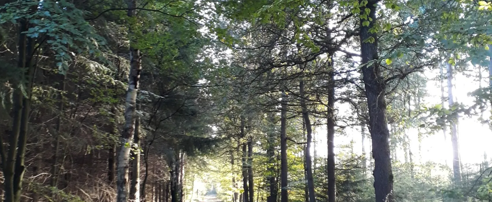 't Spoek Alcoholvrije Camping