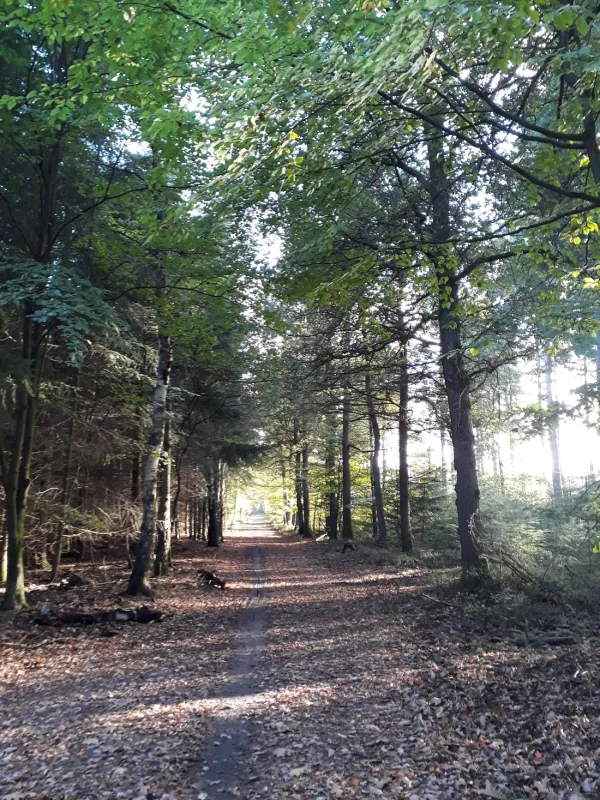 't Spoek Alcoholvrije Camping