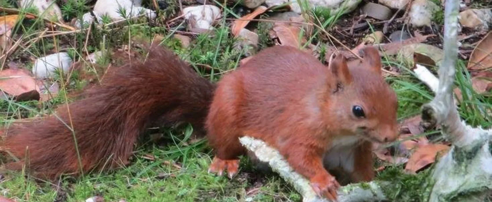 't Spoek Alcoholvrije Camping