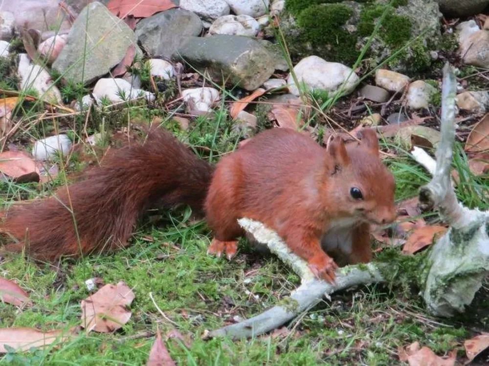 't Spoek Alcoholvrije Camping