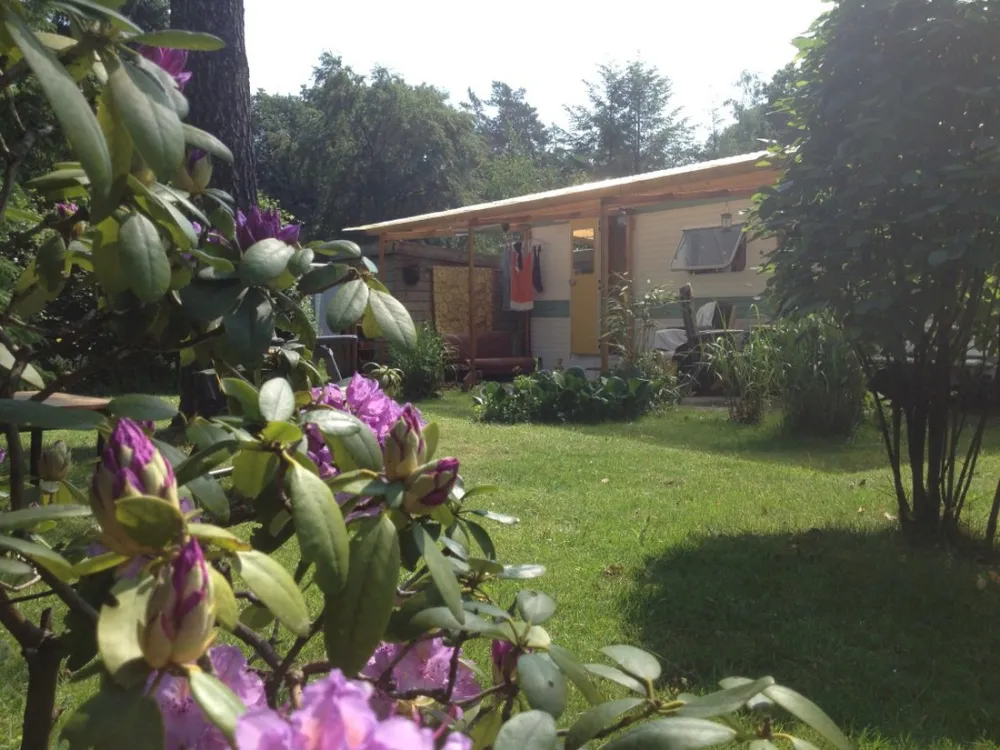 't Spoek Alcoholvrije Camping