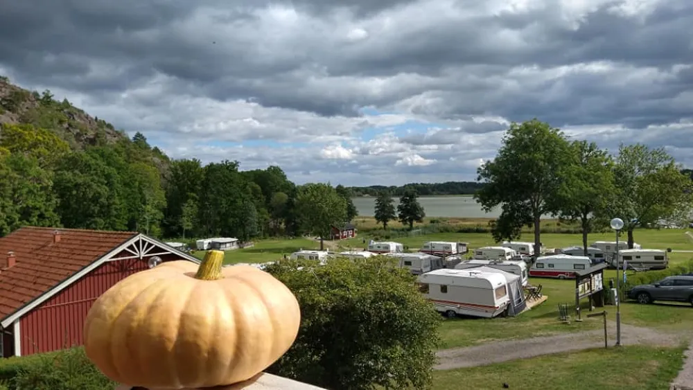 Stegeborgsgården Camping