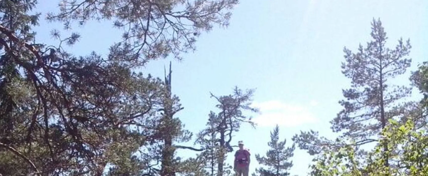 Wassbacken Café Camping & Vandrarhem