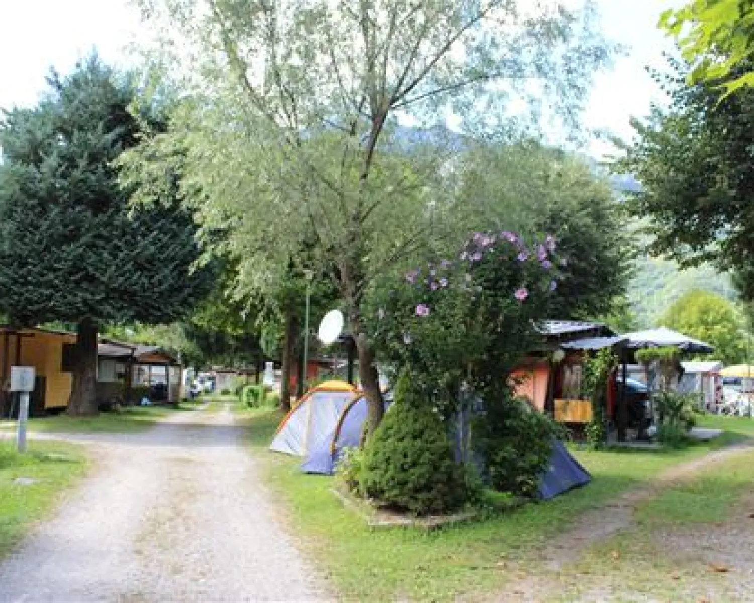 aldi zelt 3 personen STAHLWERK Campingzelt Z-210 ST 210 x 160 cm selbstaufbauendes Pop-Up-Z