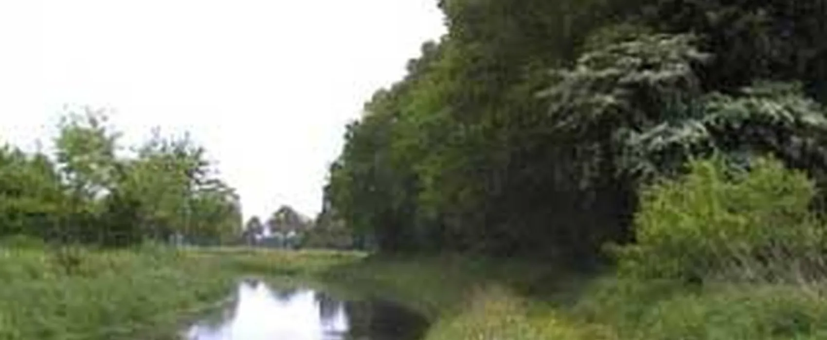 MINICAMPING DE VELDHOEK