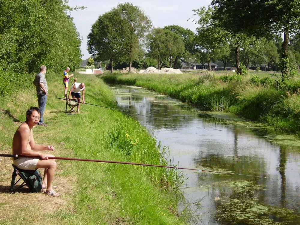 MINICAMPING DE VELDHOEK