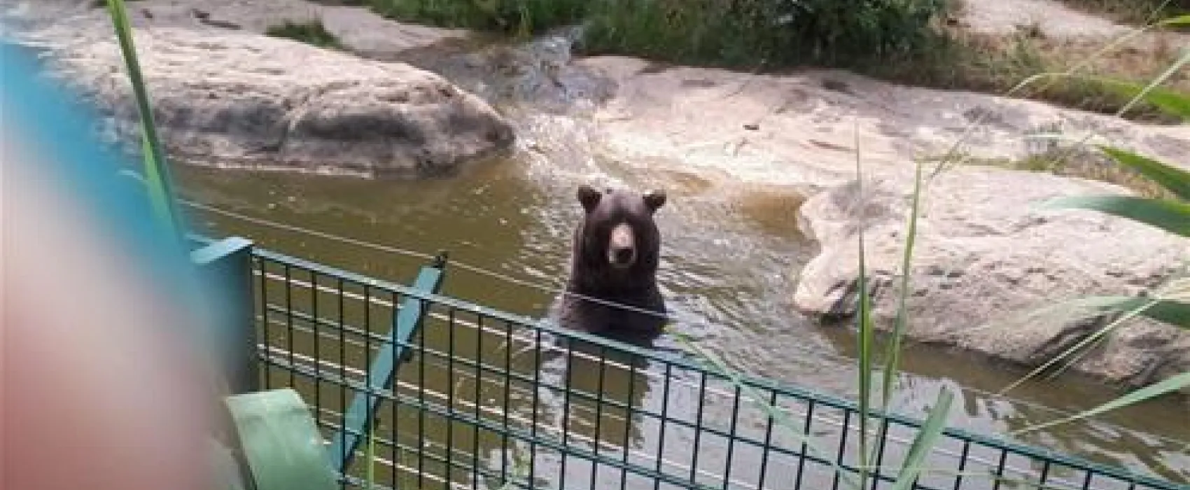 Campingplatz Elisabeth-See