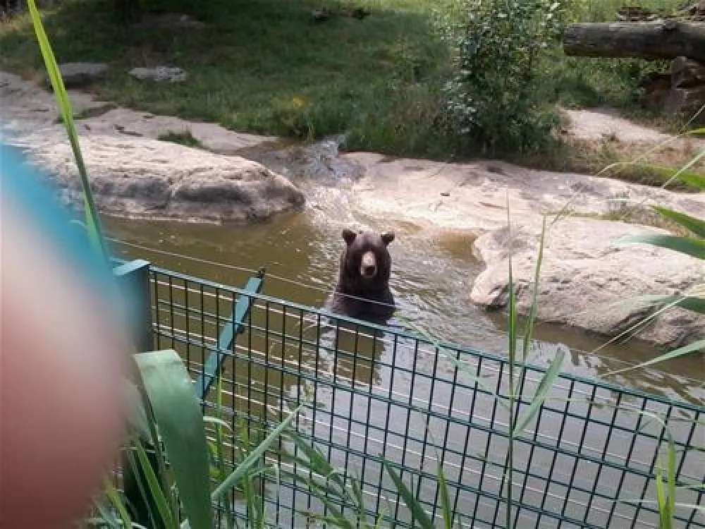 Campingplatz Elisabeth-See