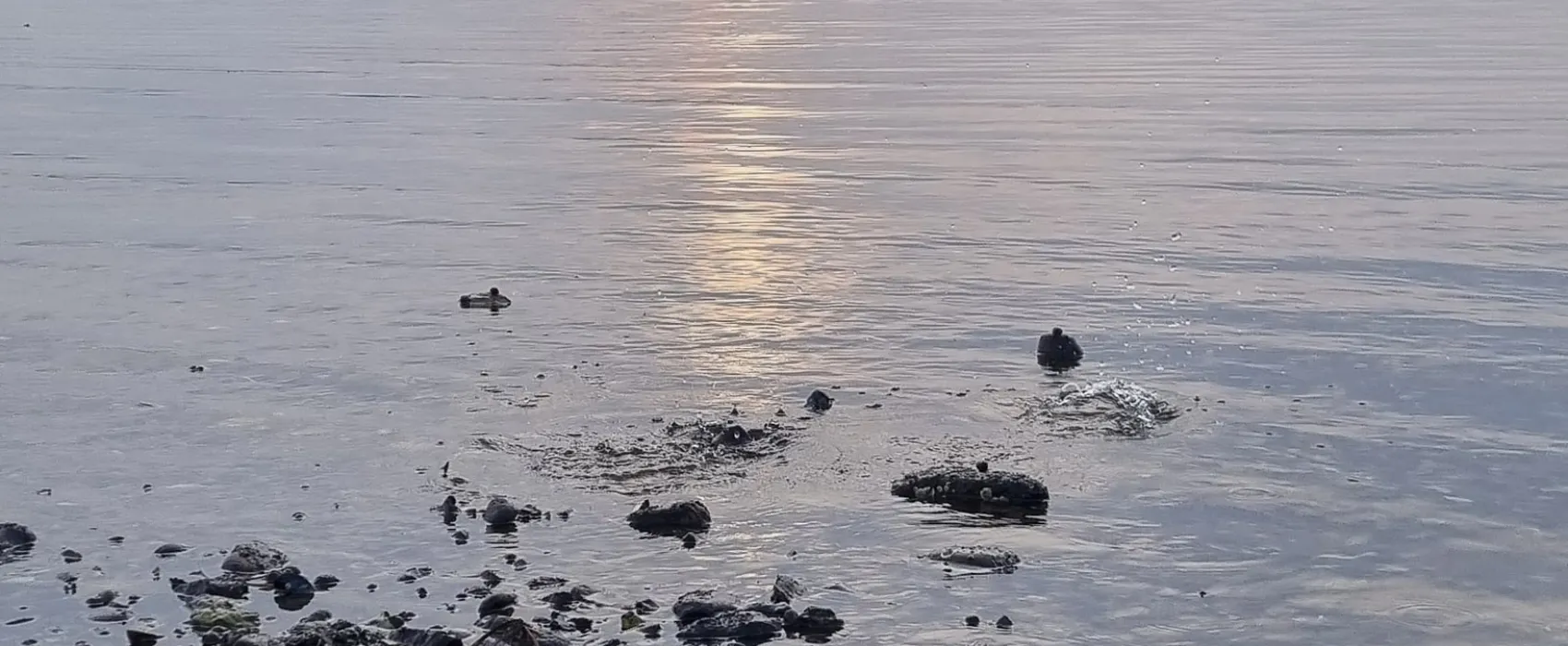 Hvalpsund Familie Camping