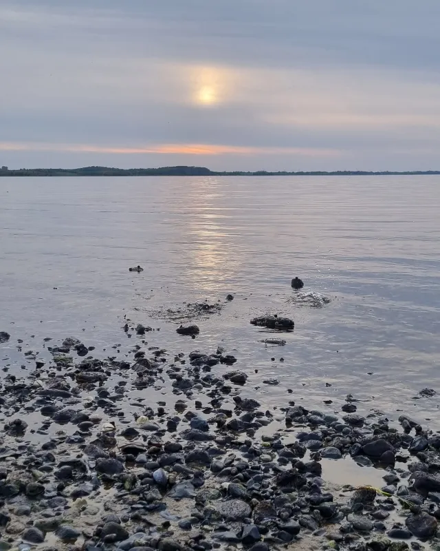 Hvalpsund Familie Camping