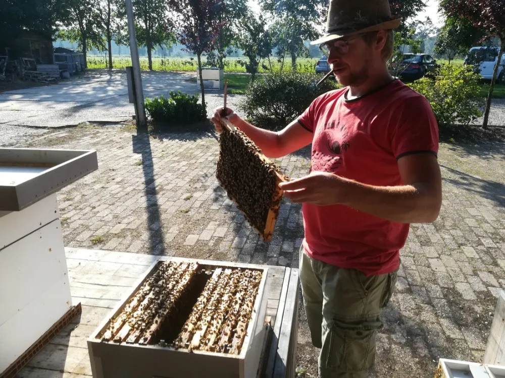 Camping Jacobus Hoeve