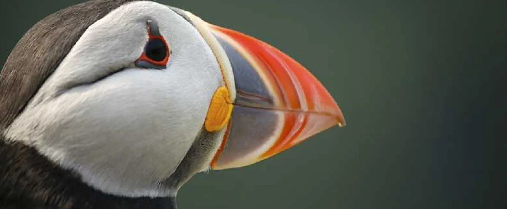 Mill House Caravan Park